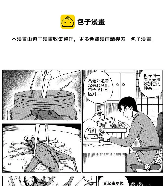 昆虫学家（上） 第31页