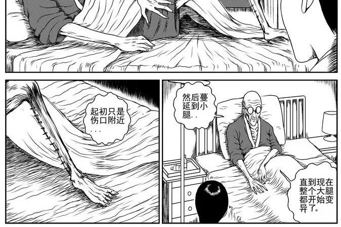 昆虫学家（上） 第36页