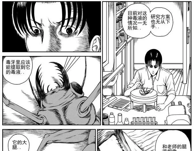 昆虫学家（上） 第39页