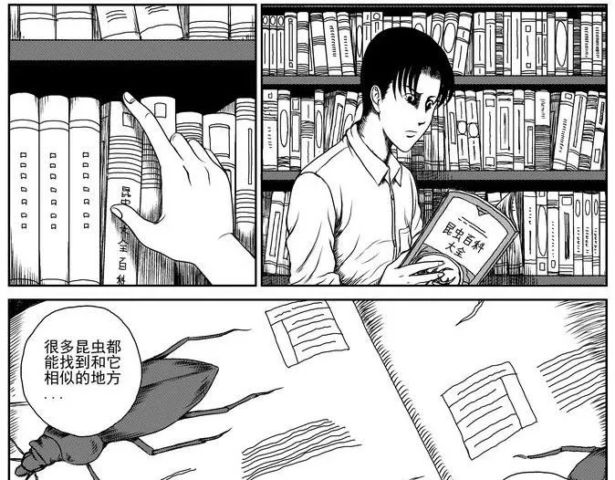 昆虫学家（上） 第45页