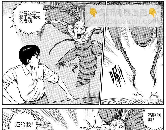 昆虫学家（下） 第41页