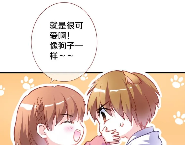 第65话 粘人的大狗狗 第73页