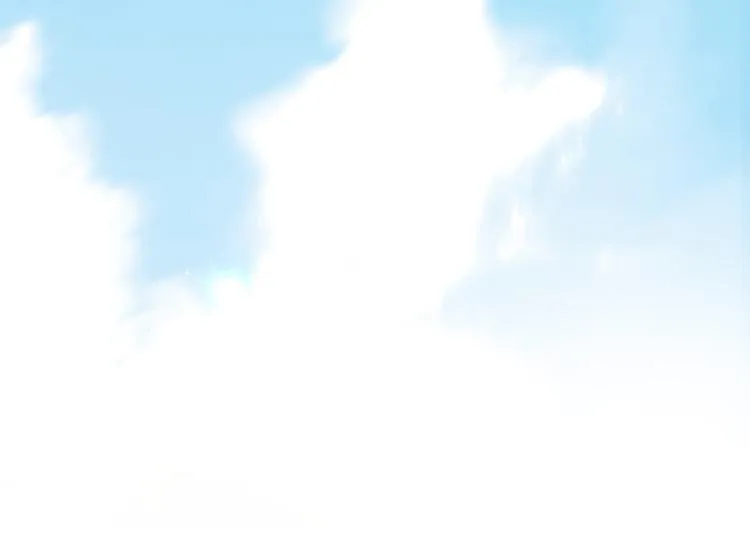第74话 重要的日子 第29页