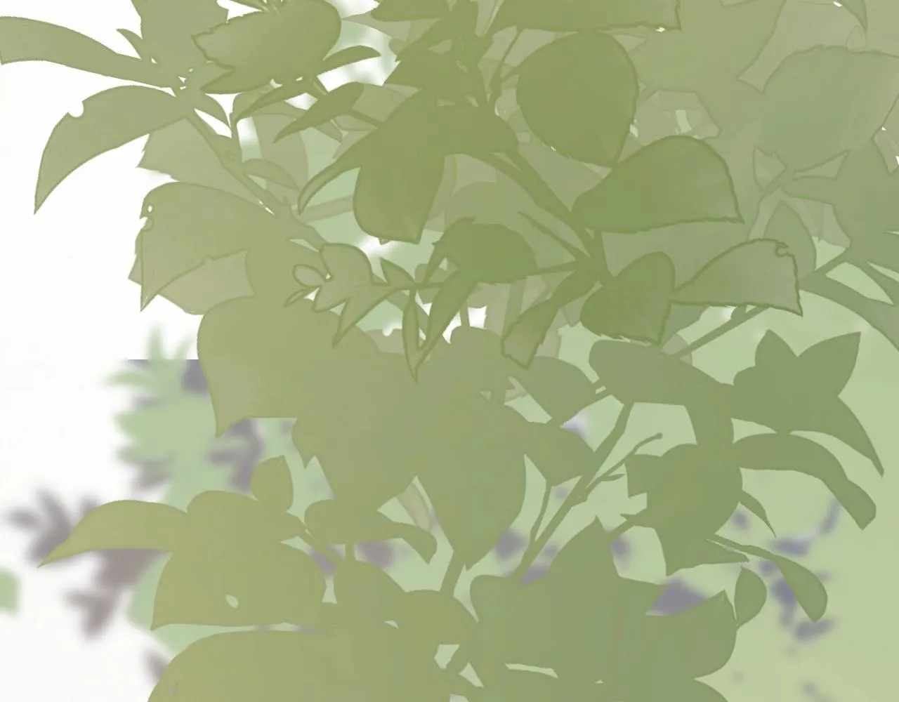 番外2见见我妈 第115页