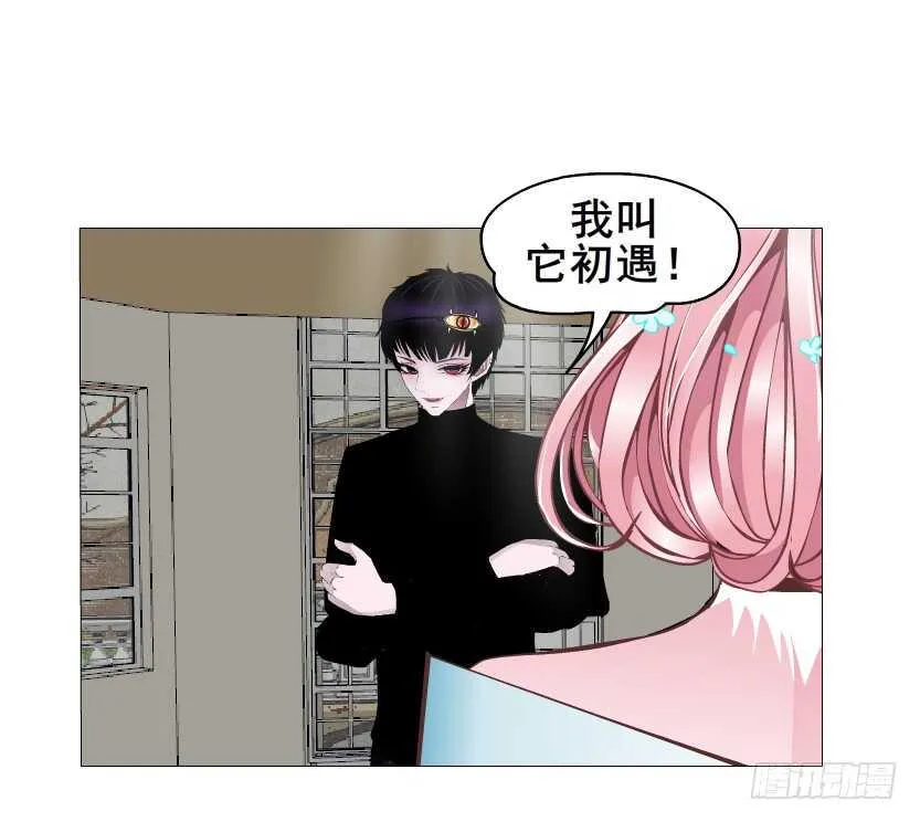 第141集 “狂热”的爱 第43页