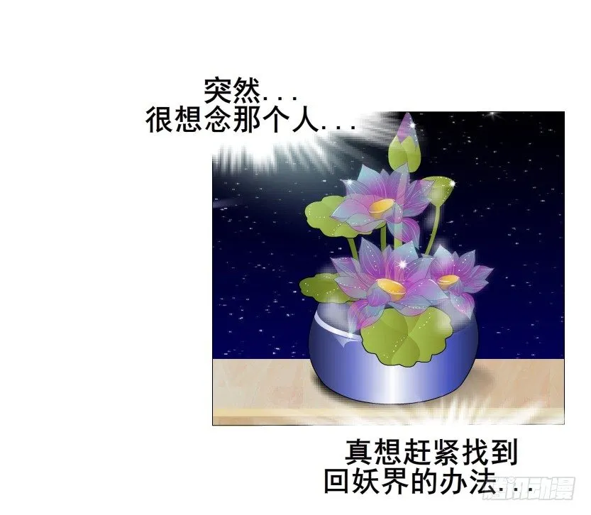 第8集 总裁的思念 第41页