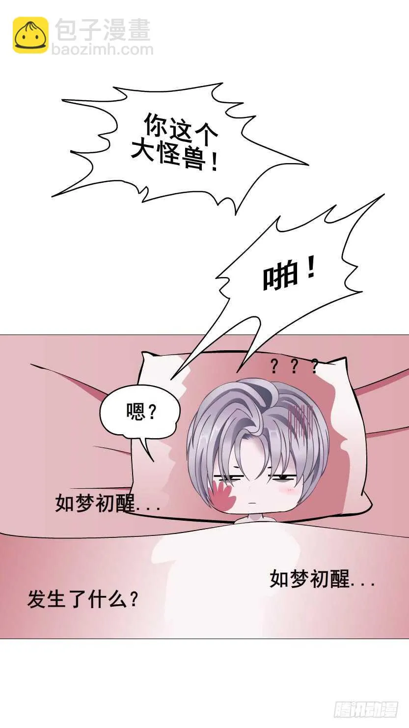 第111集 一夜的浪漫 第31页