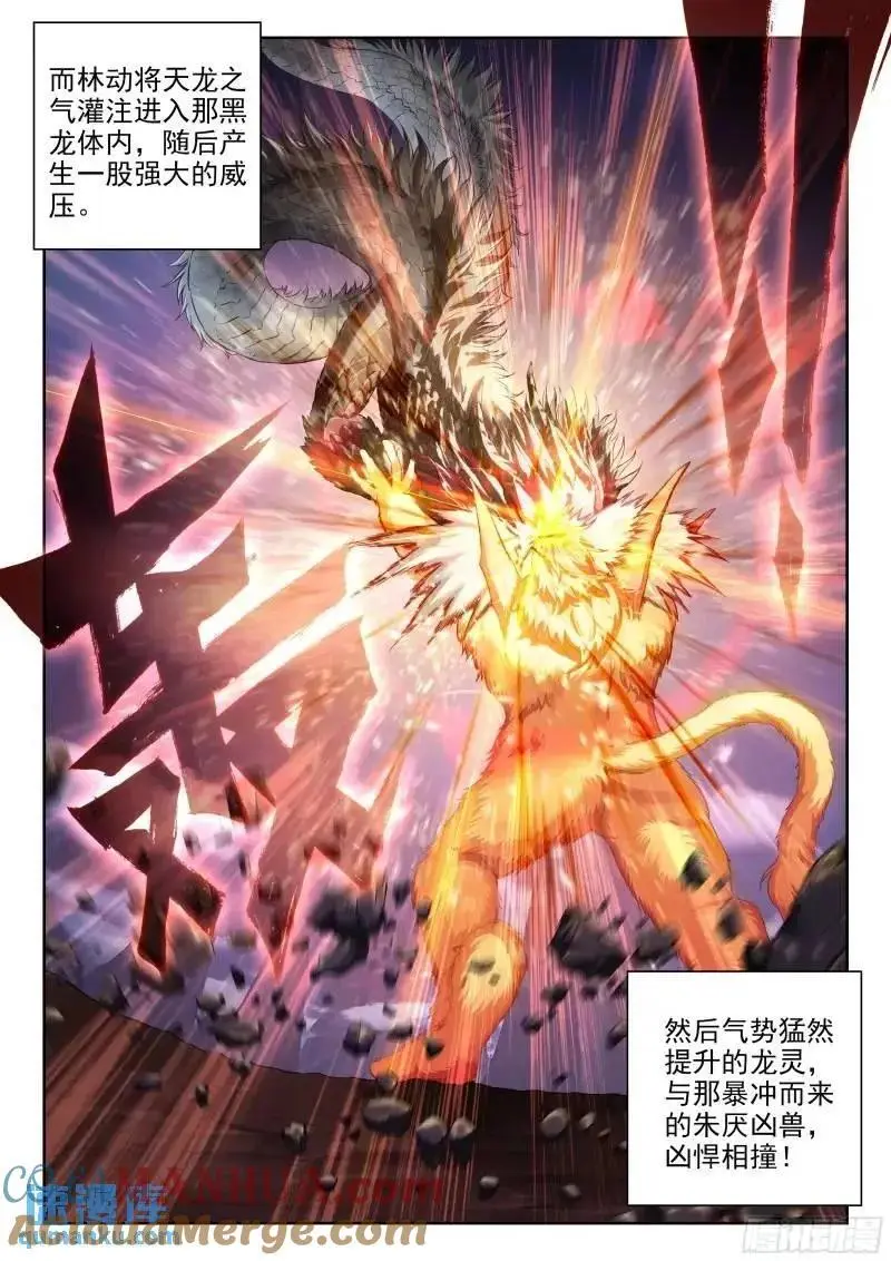 215 找上门来 第11页