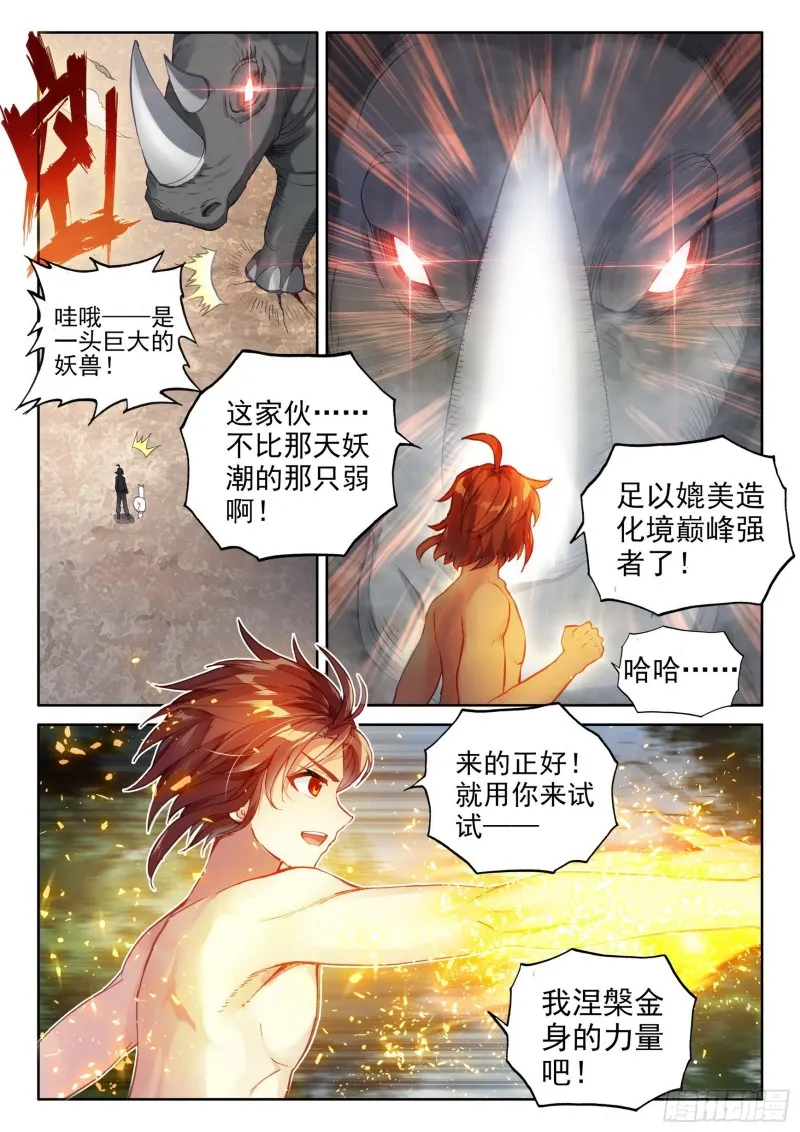 112 修炼金身 第12页