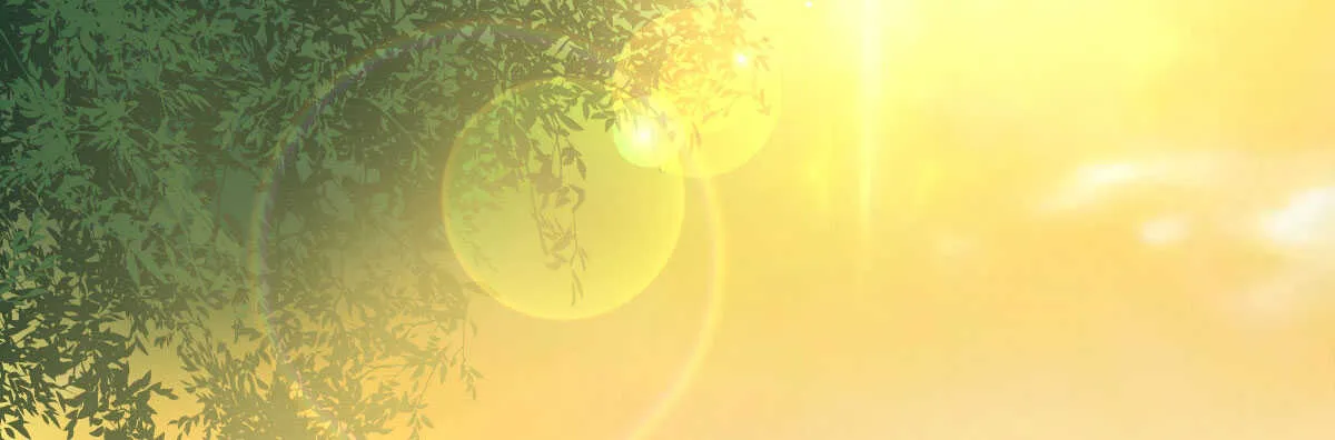 第44话：英雄救美 第81页