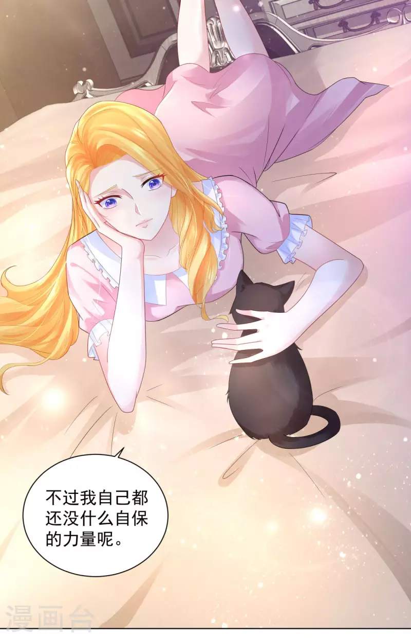 第165话 猫猫军团 第3页