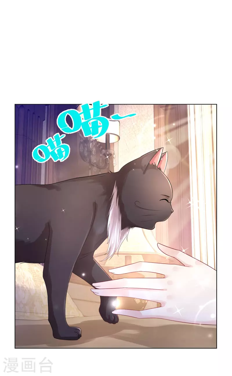 第165话 猫猫军团 第4页
