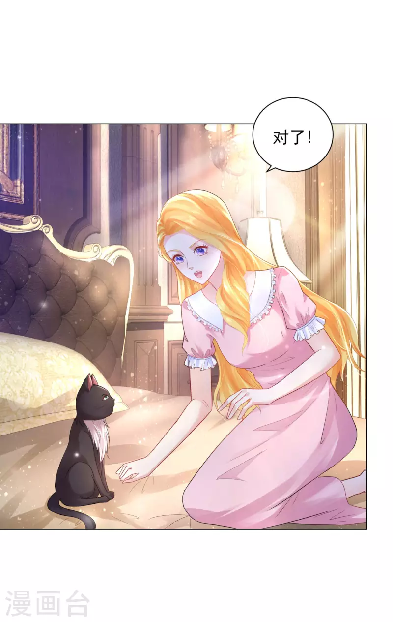 第165话 猫猫军团 第6页