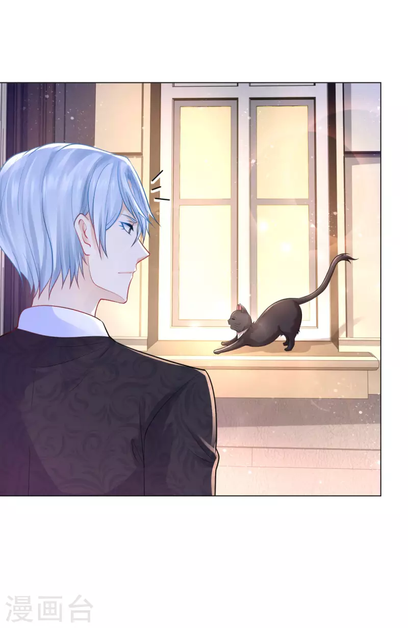 第165话 猫猫军团 第15页
