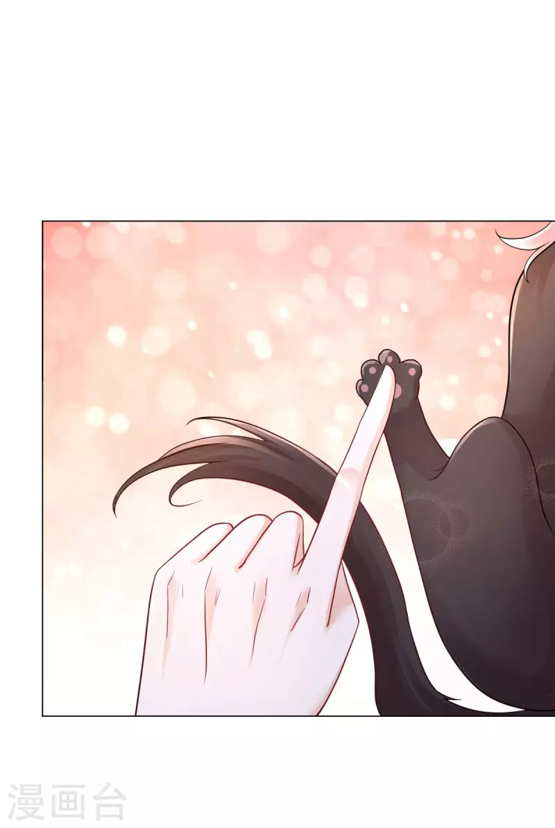 第165话 猫猫军团 第22页