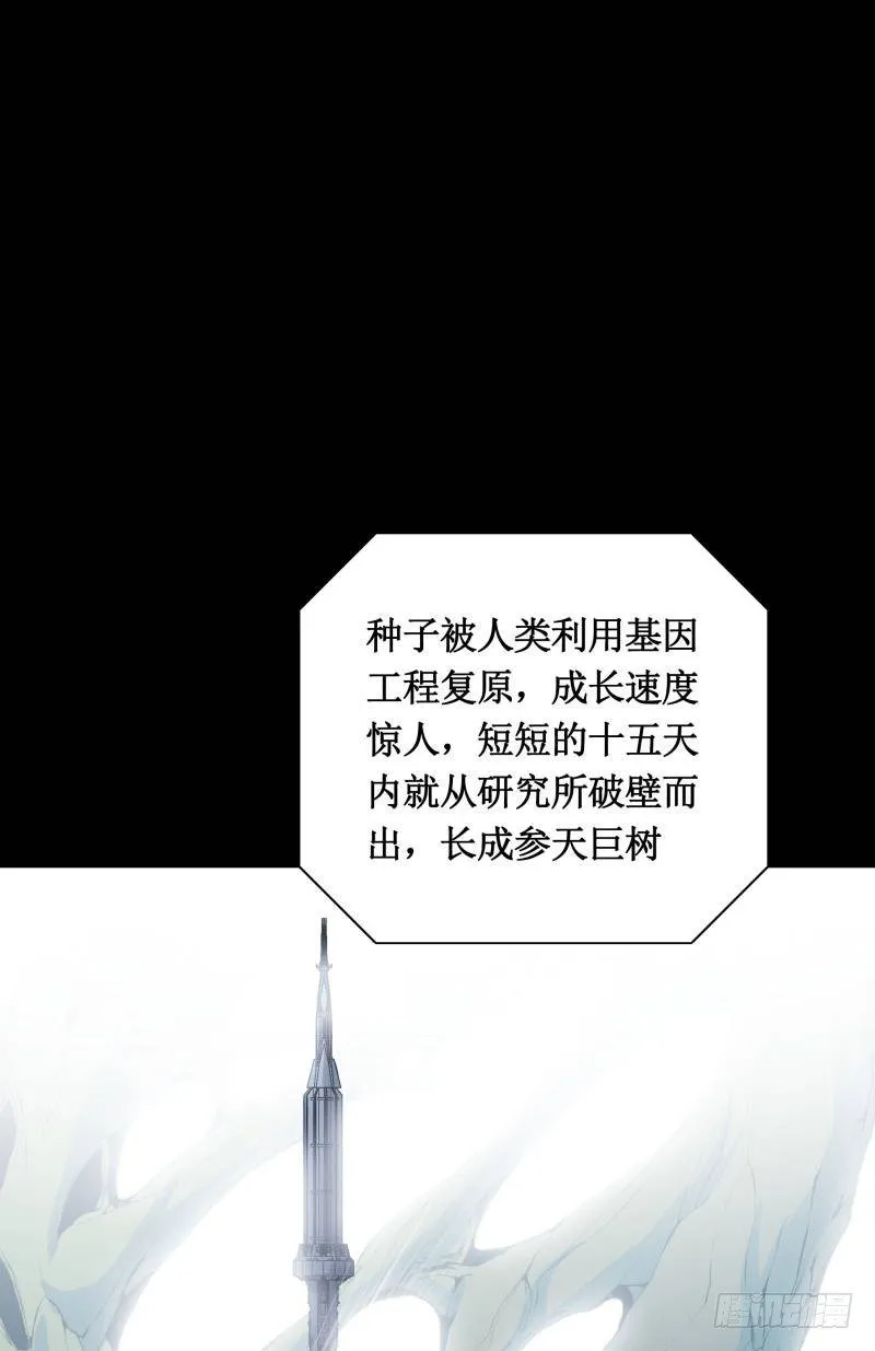 修复的种子 第11页