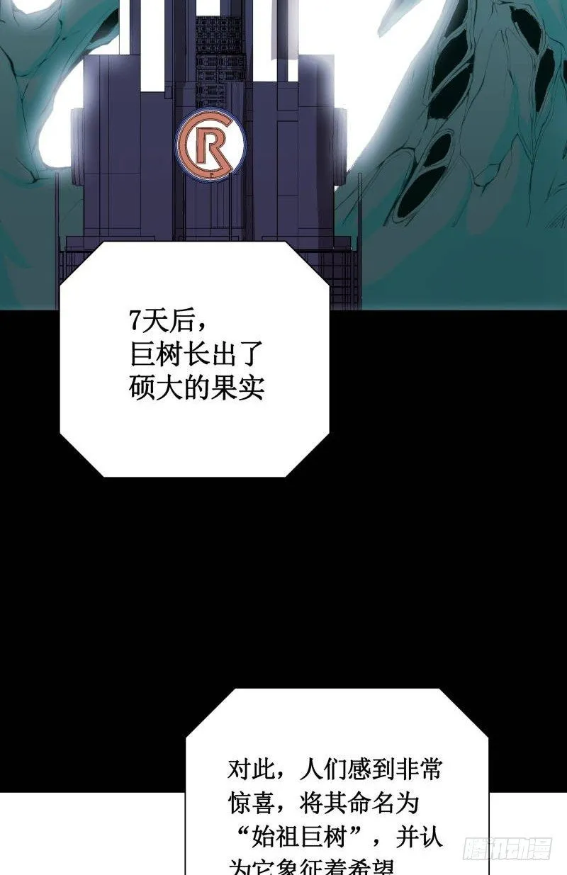 修复的种子 第13页