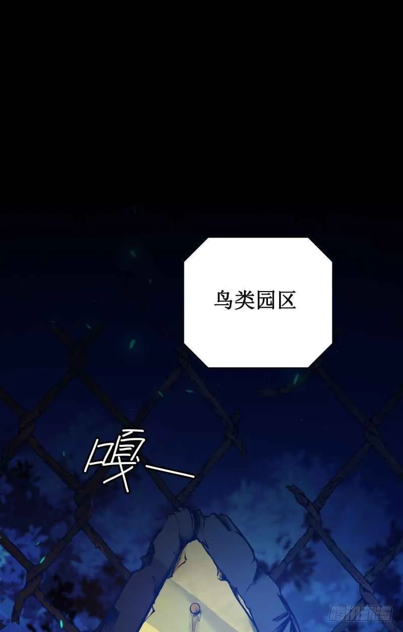 修复的种子 第55页