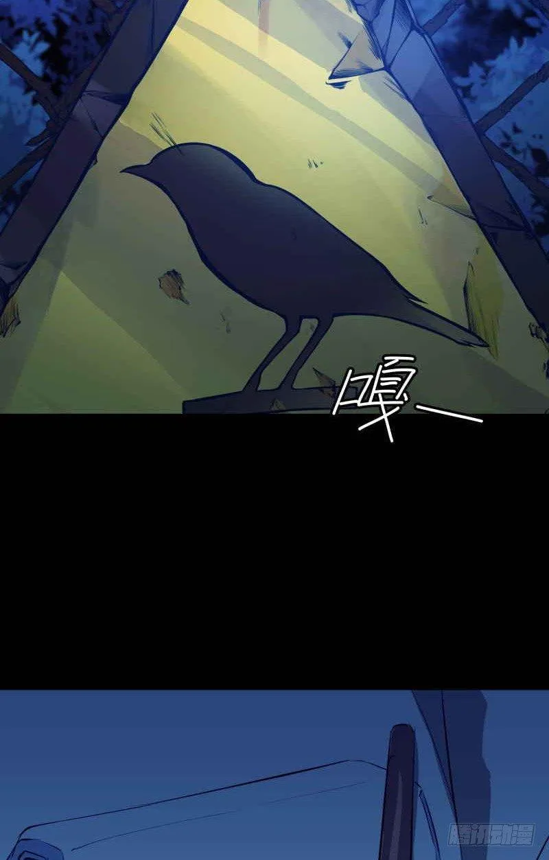 修复的种子 第56页