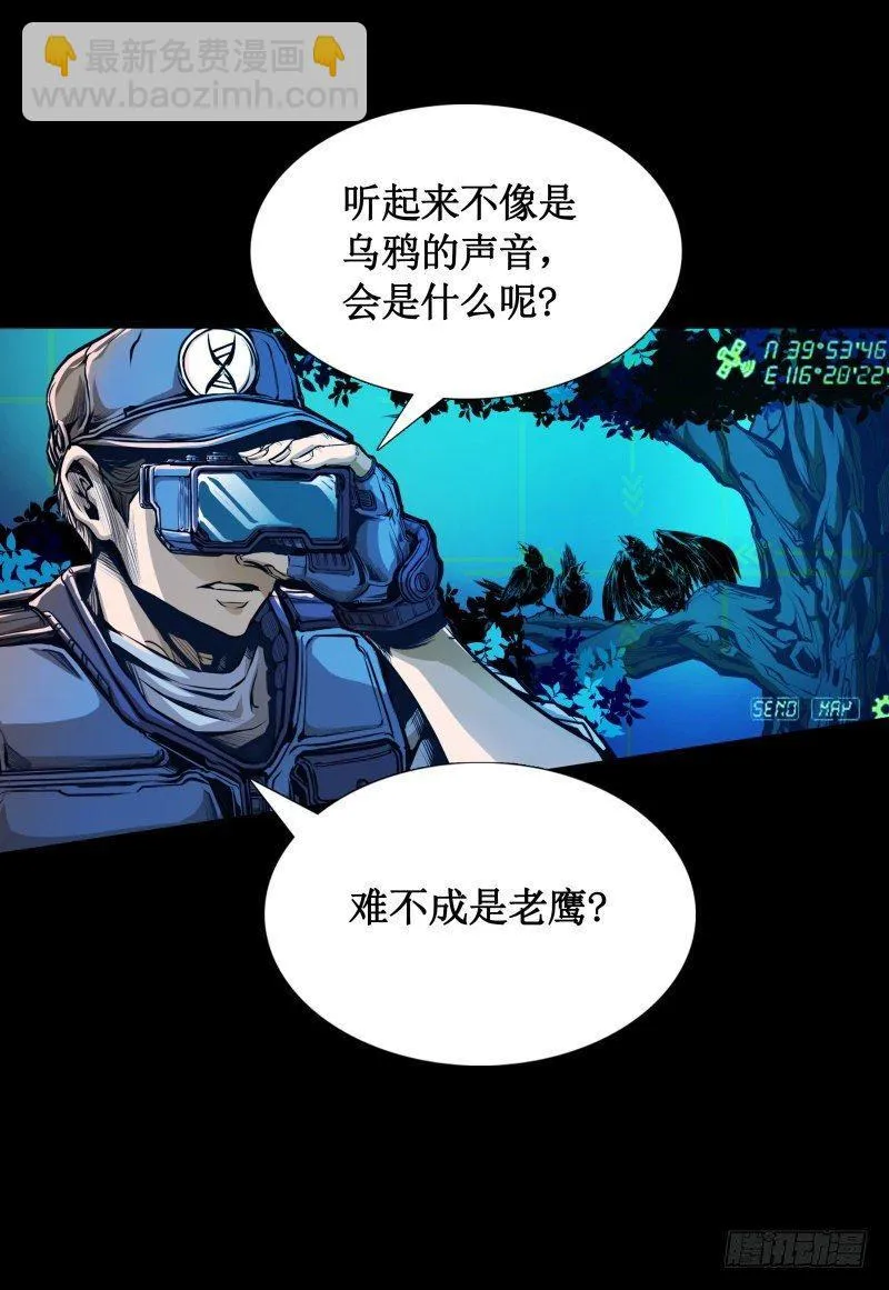修复的种子 第79页