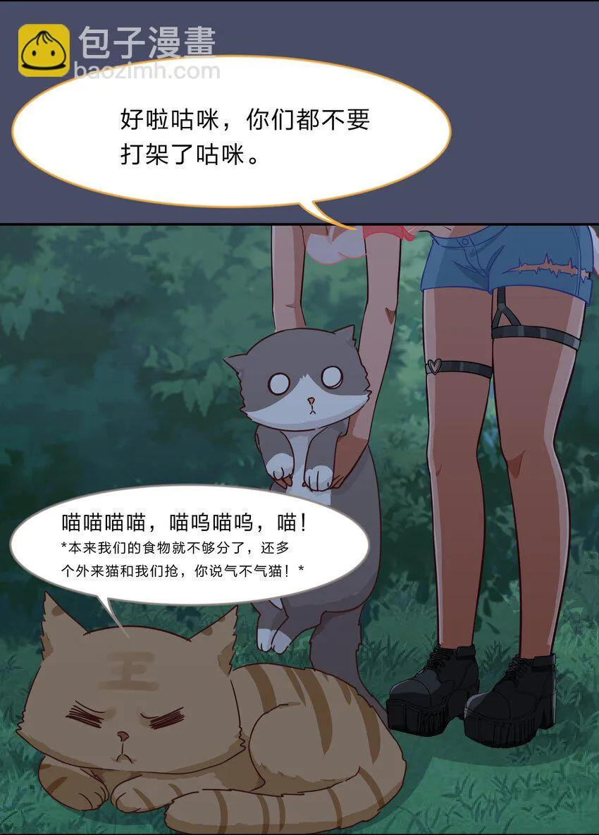 015（下） 咕咪野外大冒险！（下） 第3页