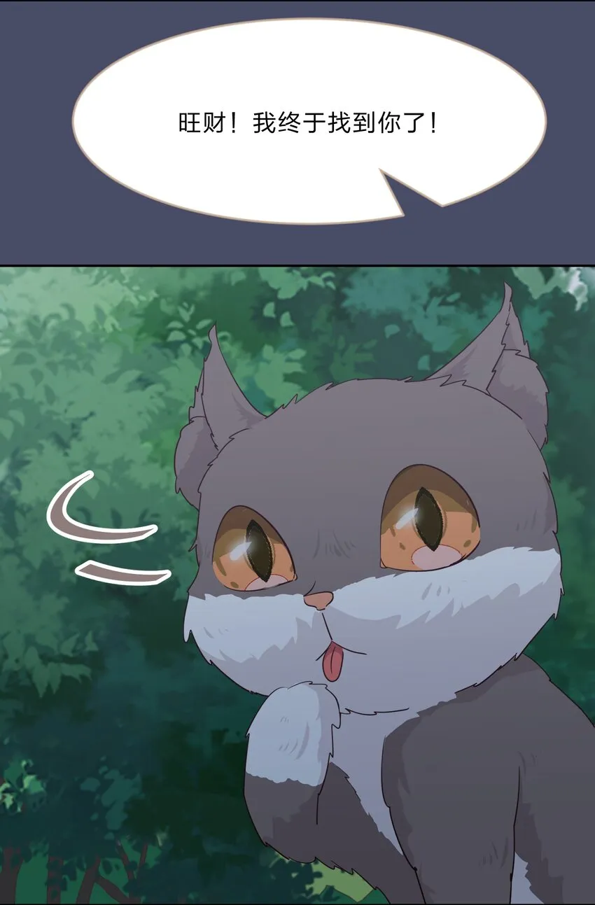 016 你很能打吗？ 第40页