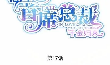 17 第8页