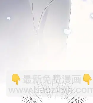 44 第66页
