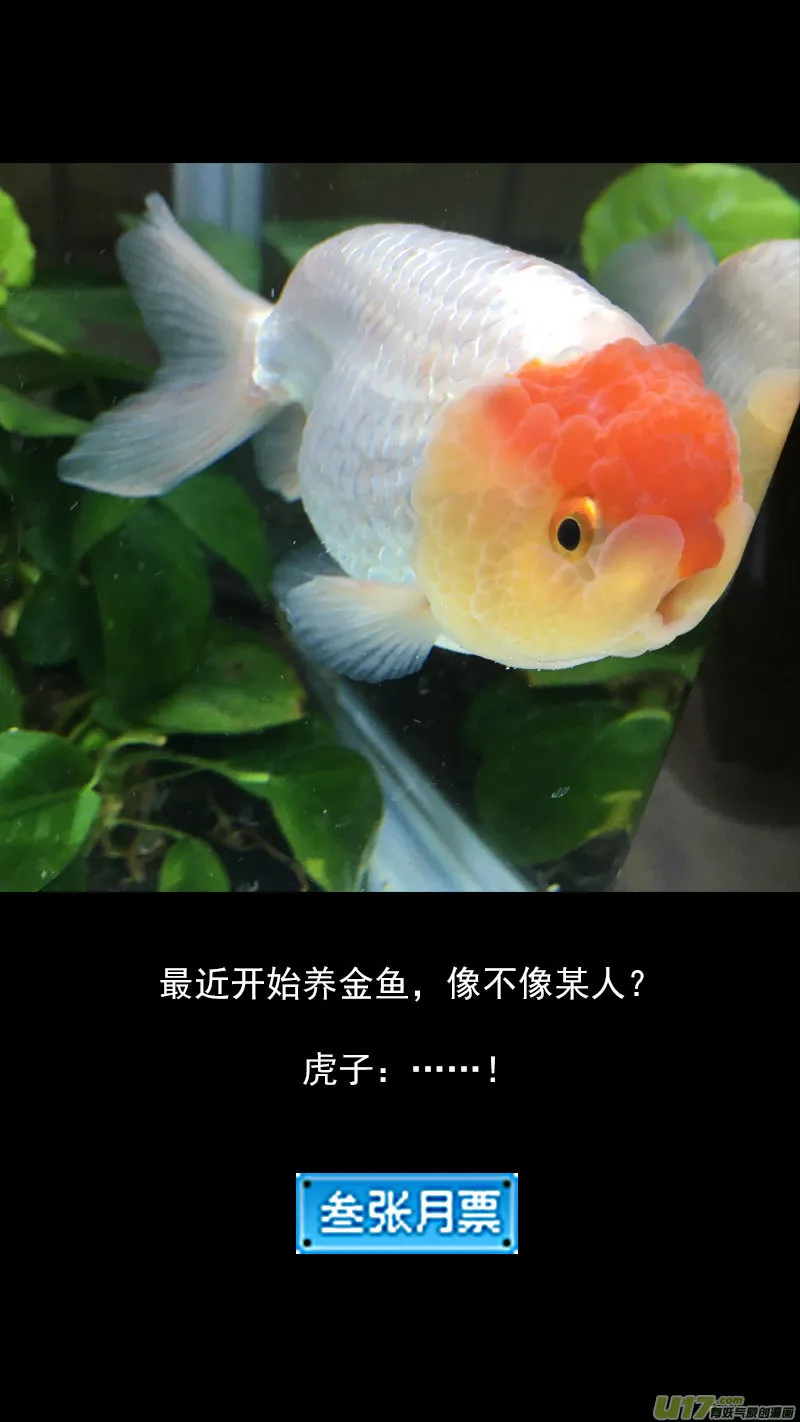 240 会合 第15页