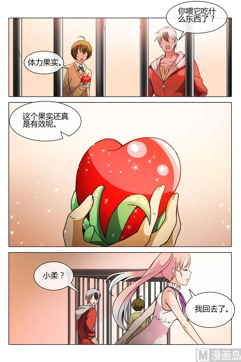 体力果 第7页