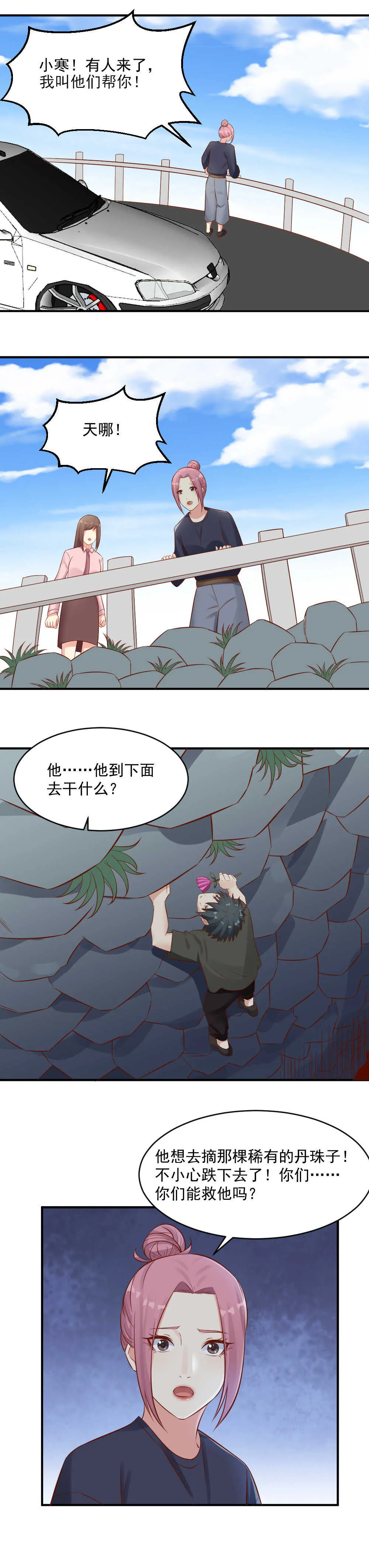 113. 丹珠子 第4页