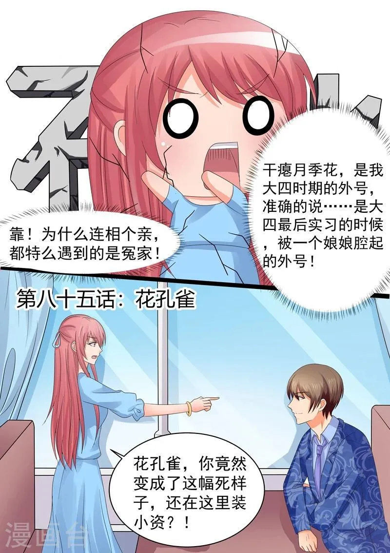 第85话 花孔雀 第1页