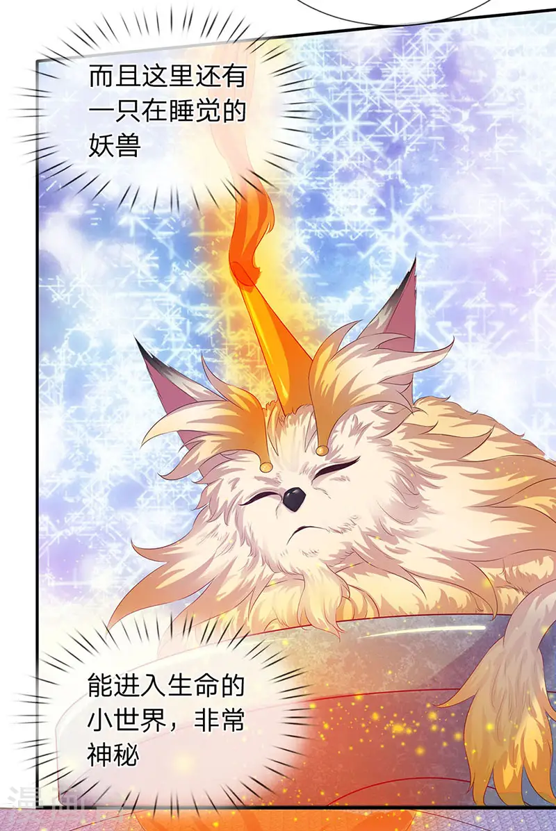 第77话 进入秘境 第11页