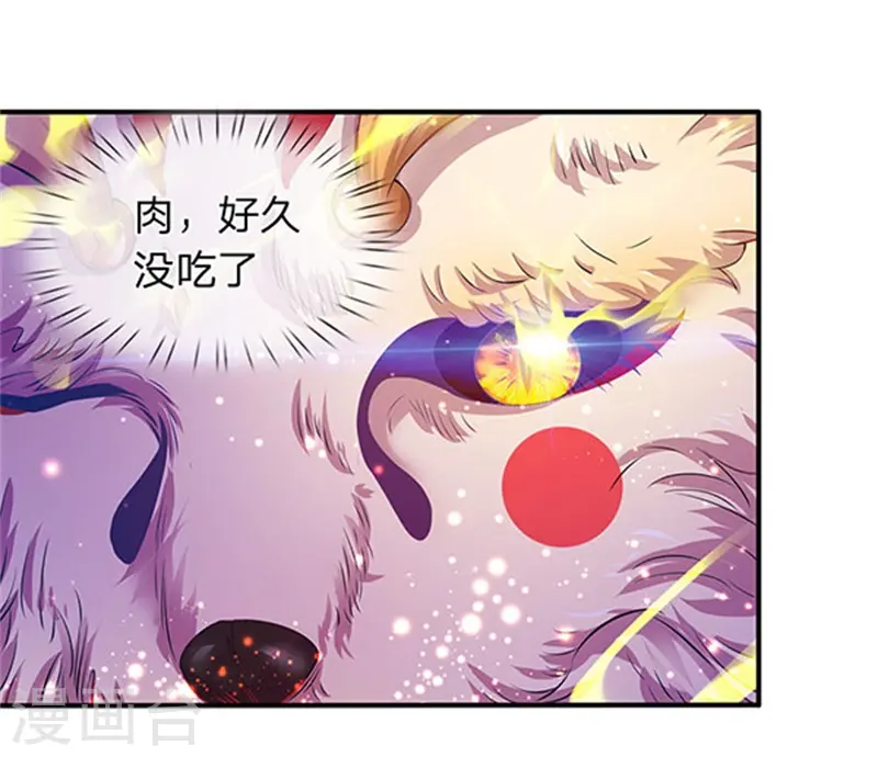 第78话 撸猫能手 第3页