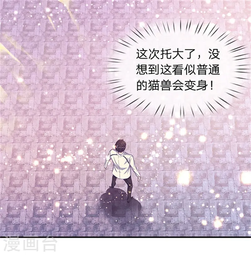 第78话 撸猫能手 第18页