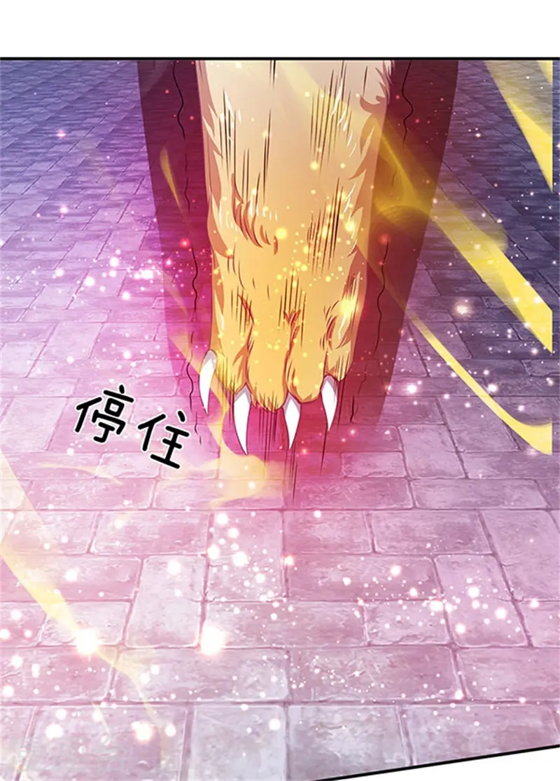 第78话 撸猫能手 第19页
