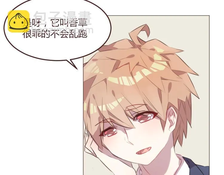 第48话 杜柯的鼓励 第5页