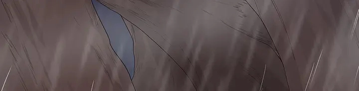 第34话 并肩作战 第17页