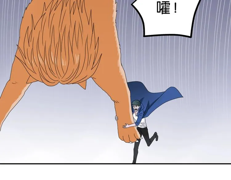 第33话 我变秃了，也变强了！ 第5页