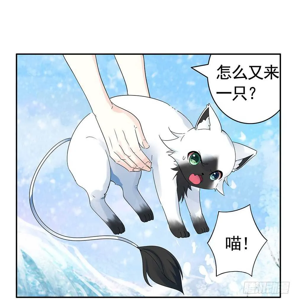 你把我弟穿身上了？ 第2页
