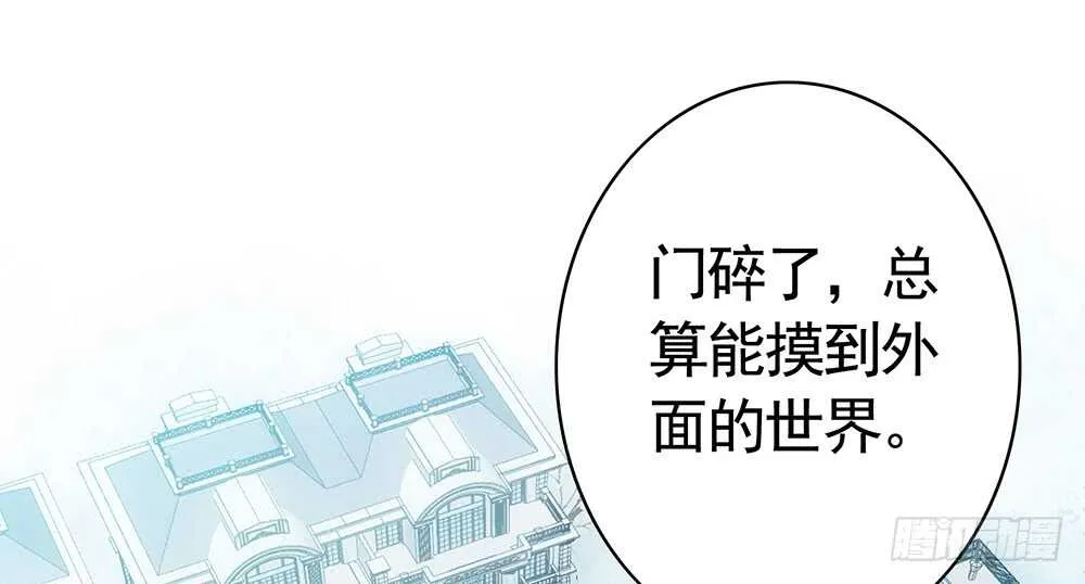我以我血祭王权 第27页