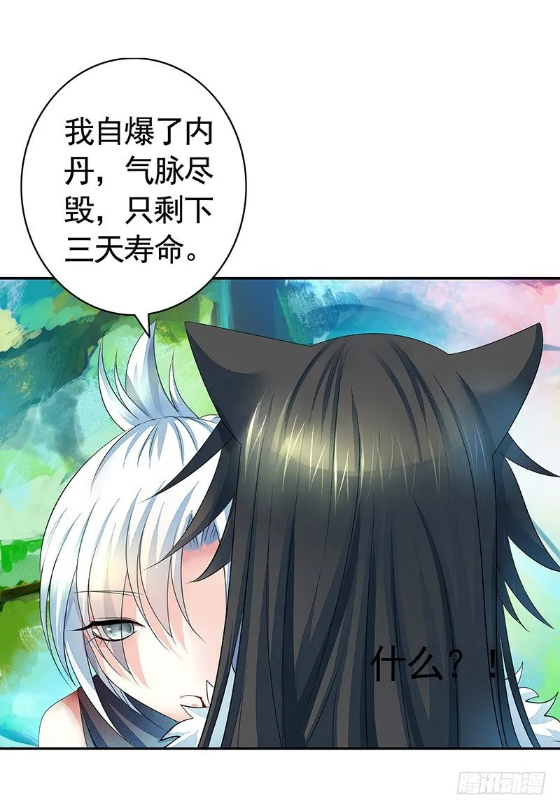 死前让我撸只猫 第28页