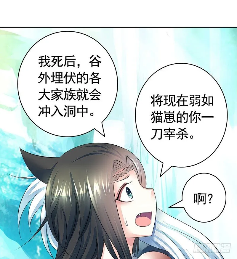 死前让我撸只猫 第29页