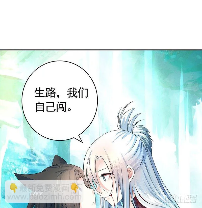 死前让我撸只猫 第33页