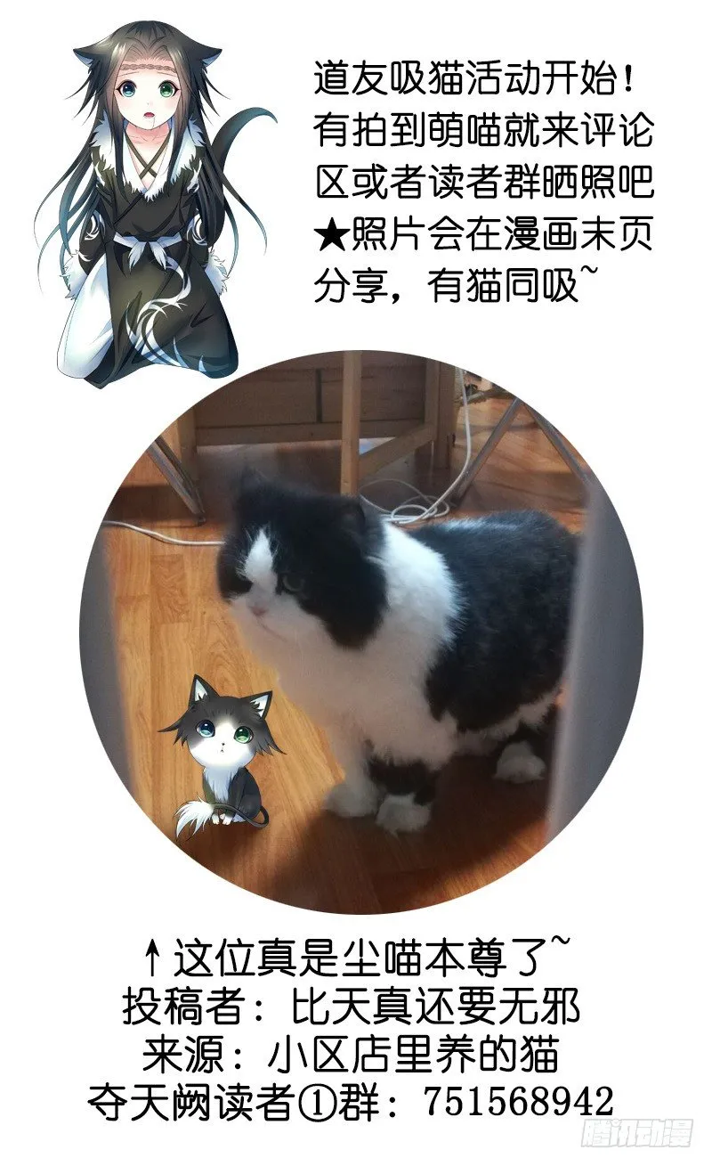 死前让我撸只猫 第35页