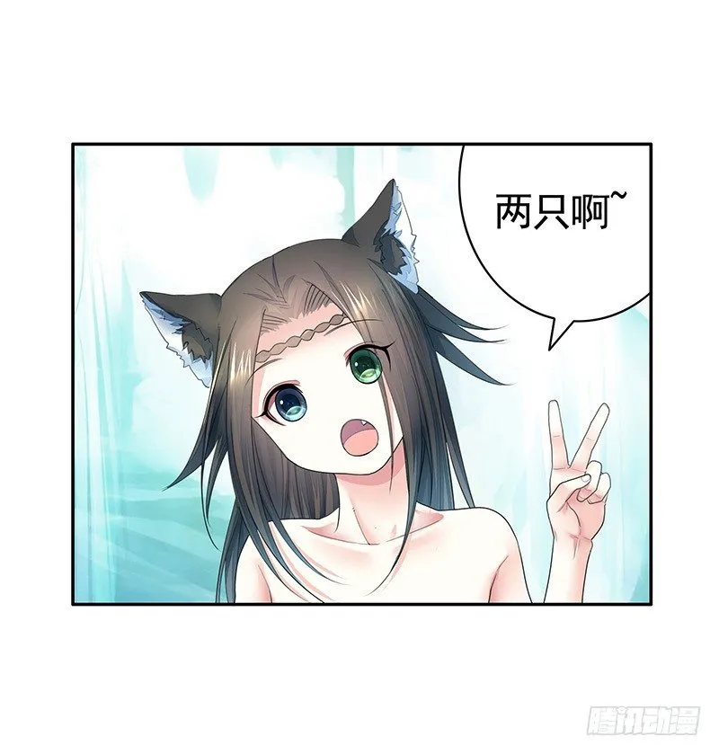 一猫当关万夫莫开 第5页