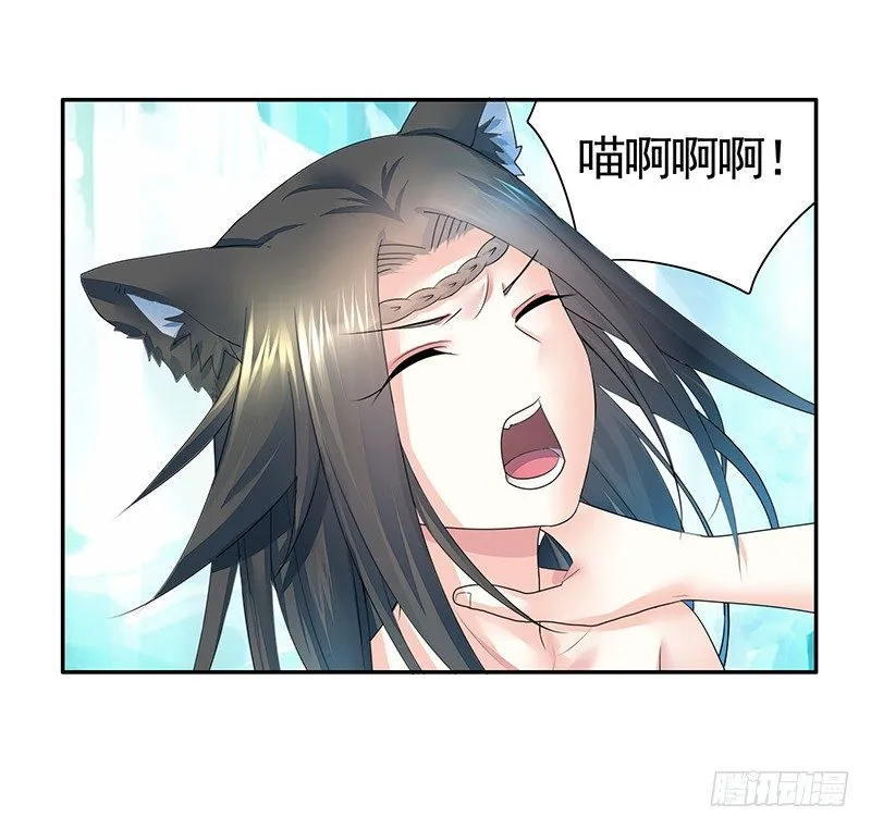 一猫当关万夫莫开 第41页