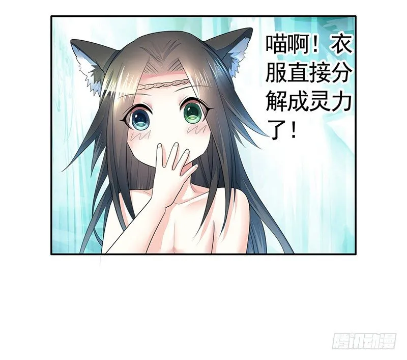 一猫当关万夫莫开 第50页
