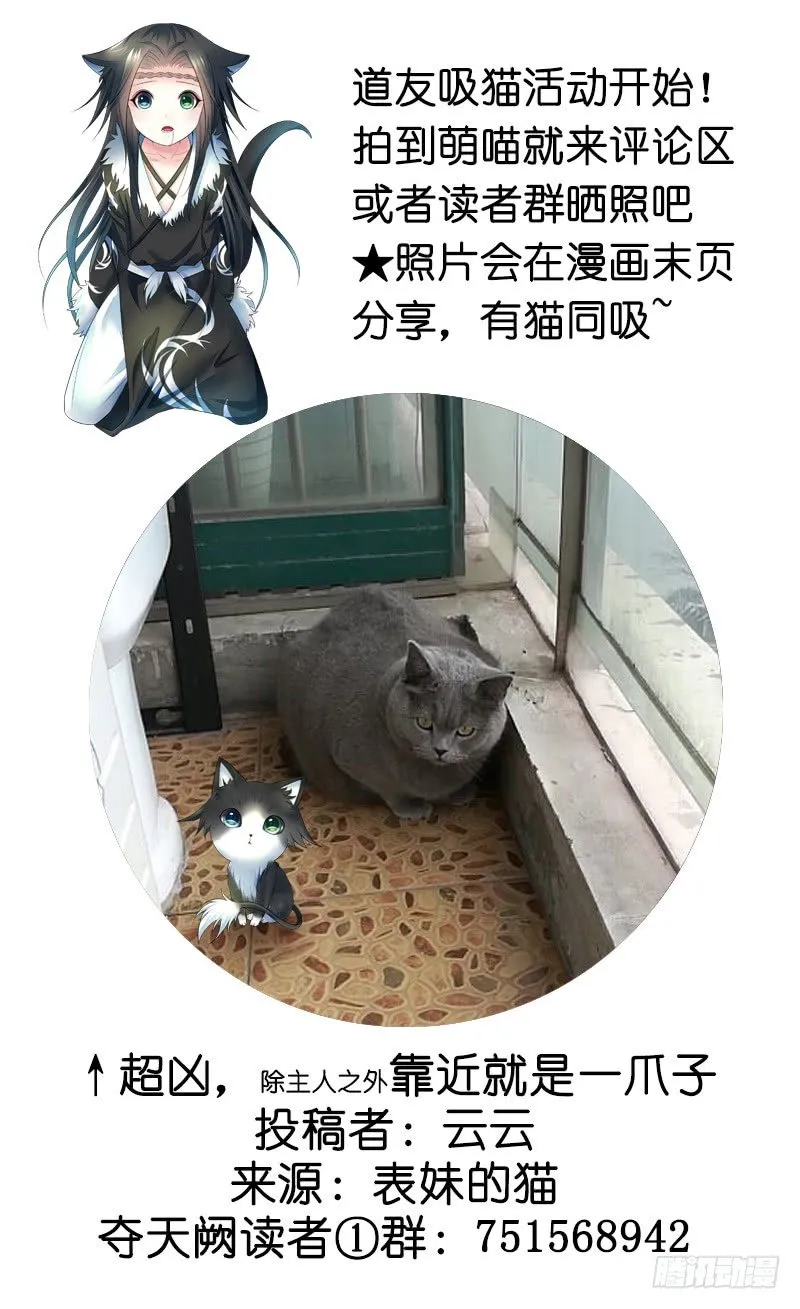 一猫当关万夫莫开 第58页