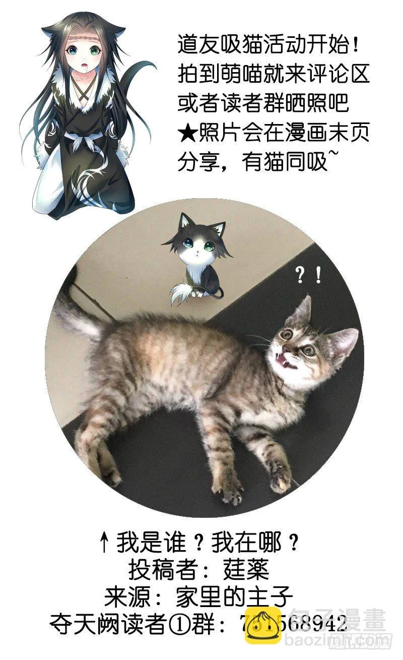 喵得你怀疑人生 第40页
